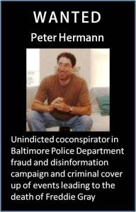 Peter Hermann - Wanted